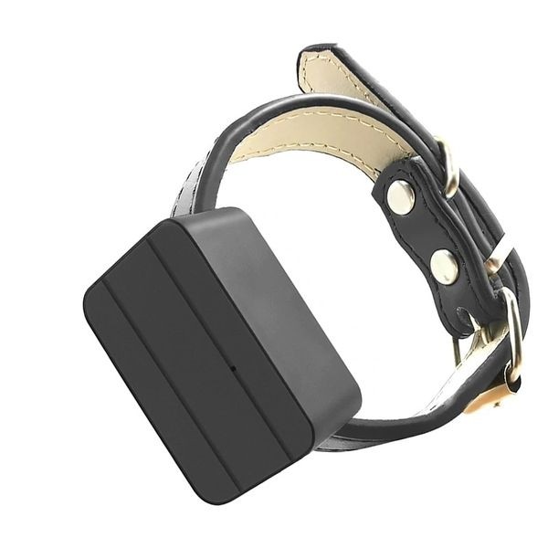 Un collar GPS con gatofono te permitirá tener controlado a tu minino